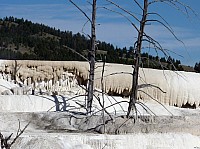 Yellowstone Mammoth Hotsprings (70).JPG